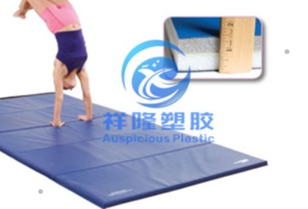 GYM OCTAGON MATS 