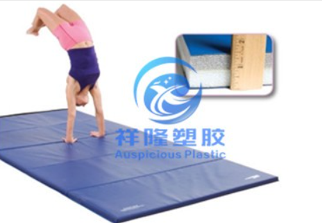 gym octagon mat 